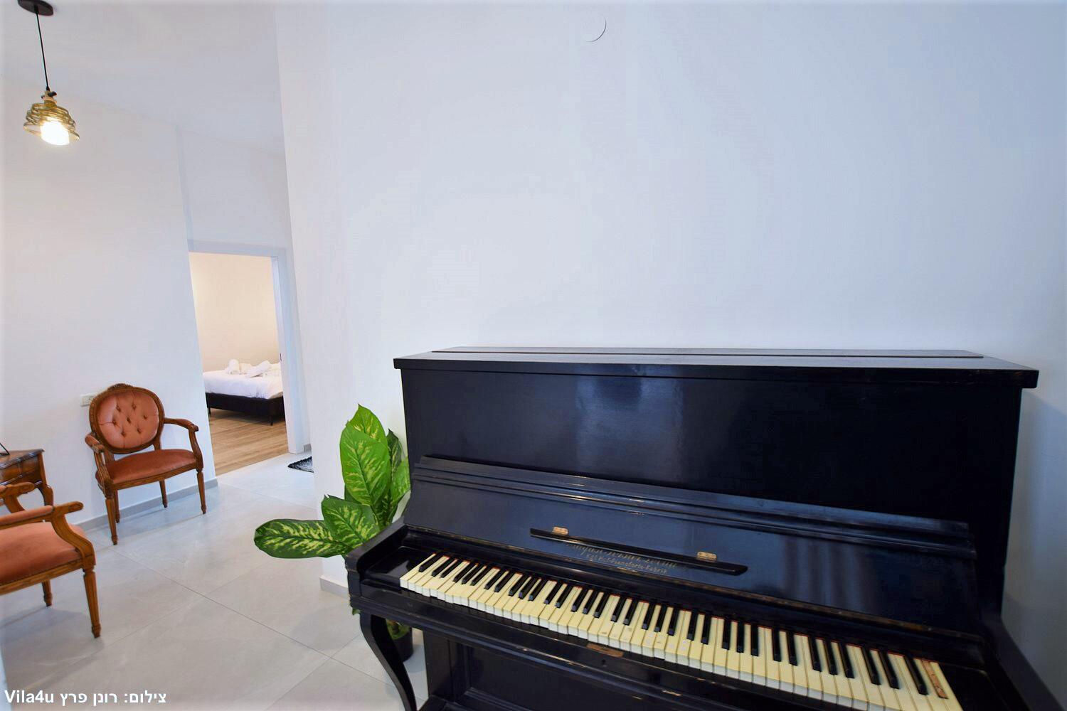 ממלכת החלומות צפון  11  לופט 4 יו