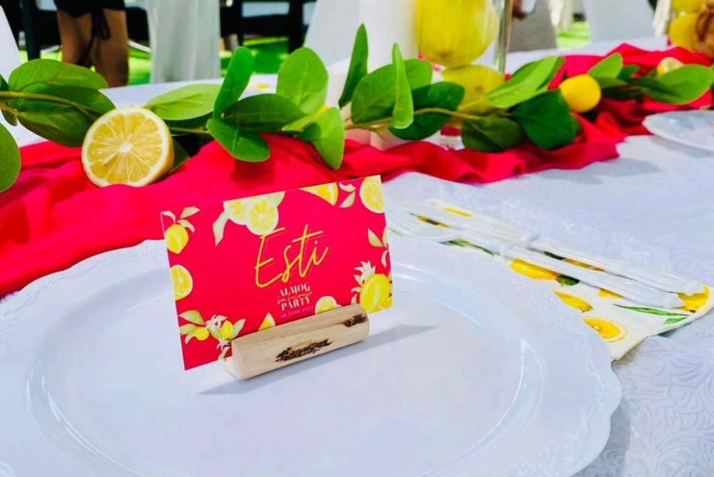 הצבי הירוק דרום  11  לופט 4 יו