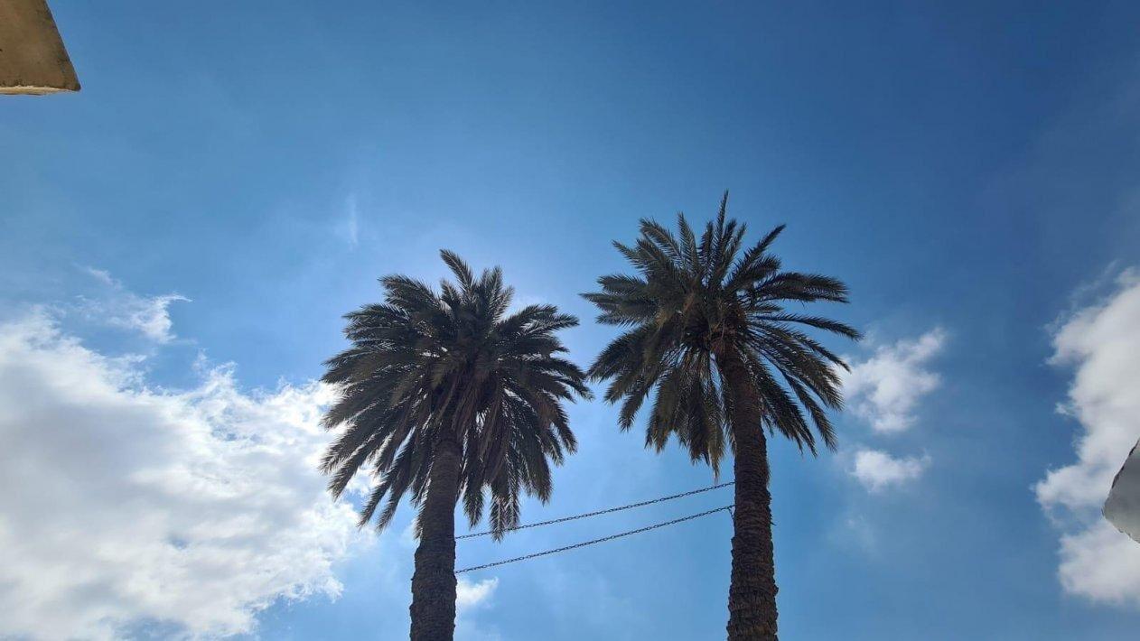 לופט פאטה מורגנה דרום  4  לופט 4 יו