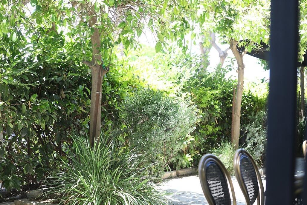 ווסט גארדן - West Garden מרכז  45  לופט 4 יו