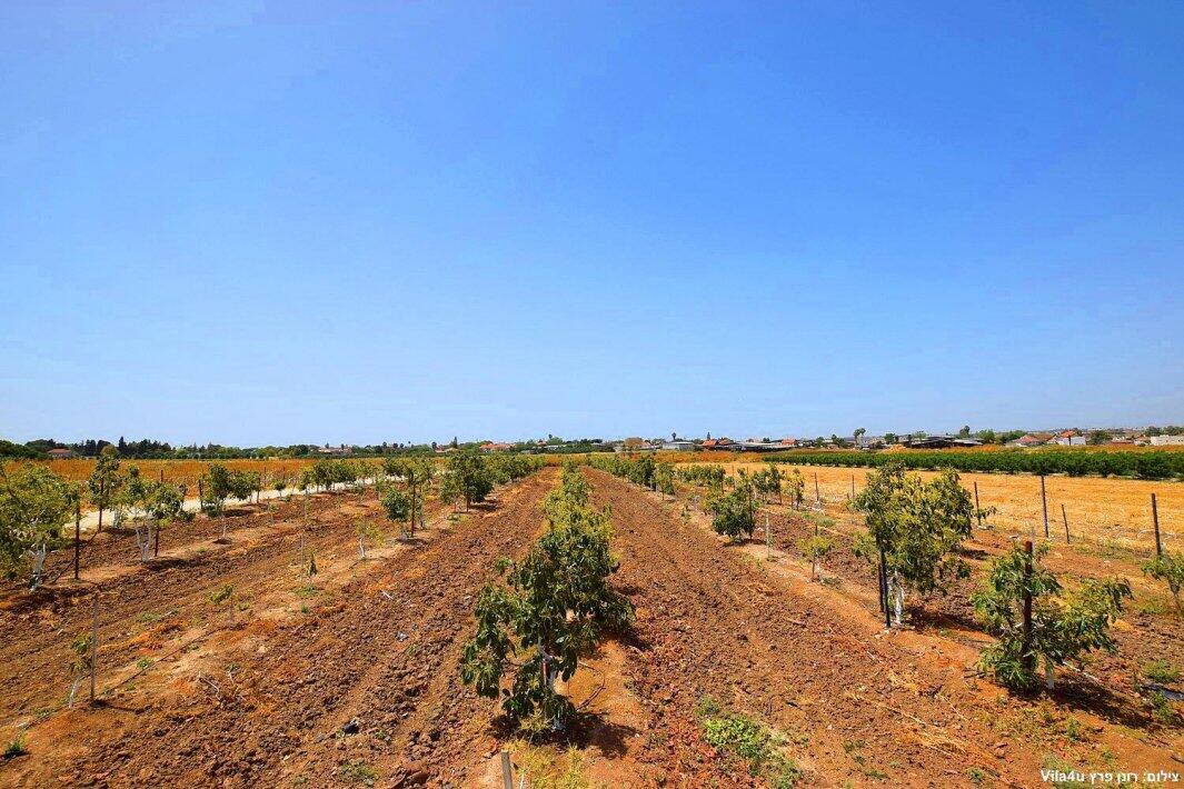 ליידיס פול מרכז  40  לופט 4 יו