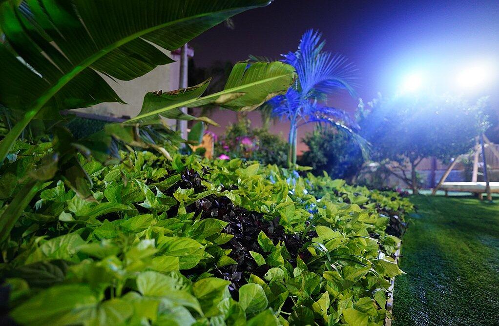 וילה אננדה ריזורט מרכז  31  לופט 4 יו