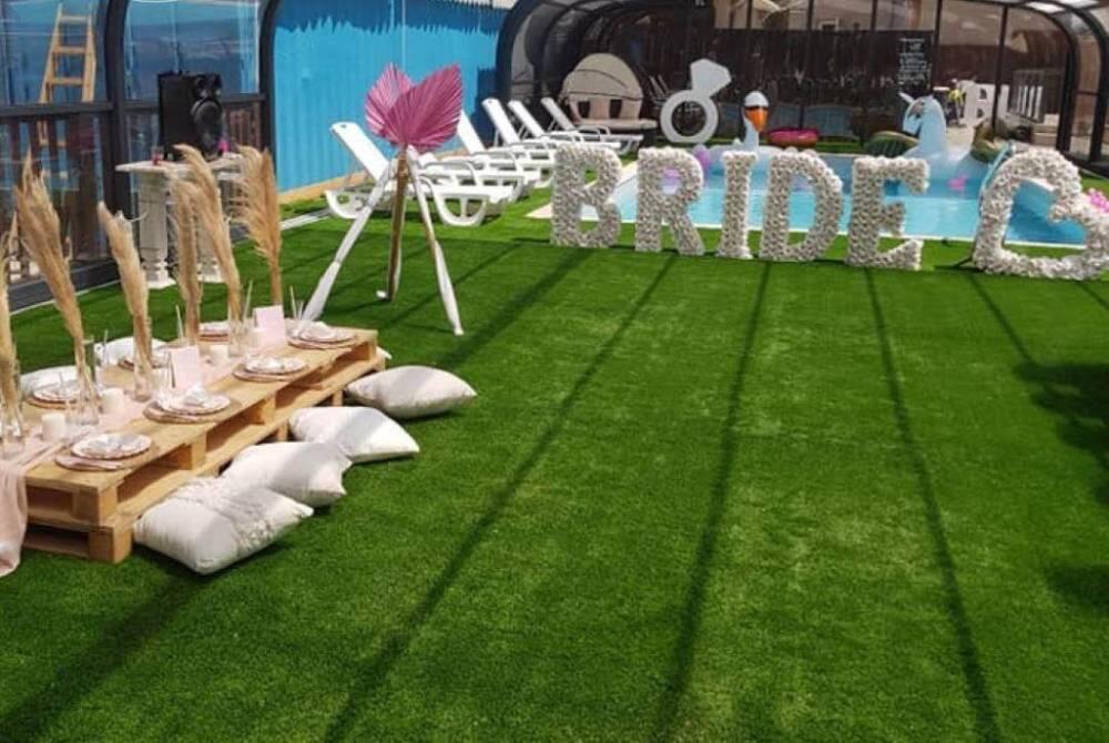 הצבי הירוק דרום  31  לופט 4 יו