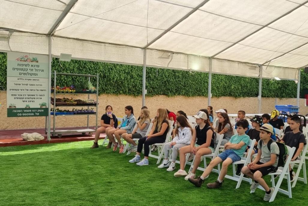 בחצר של אפריים מרכז  13  לופט 4 יו