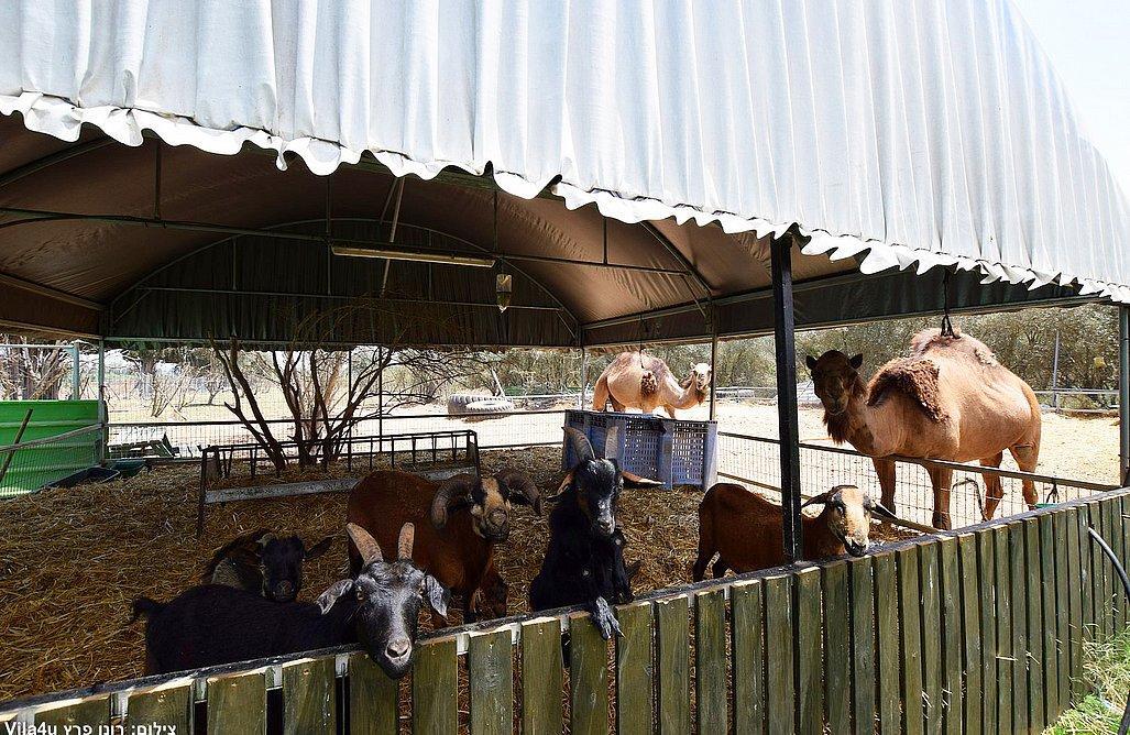 גארדן גולדן - Garden Golden מרכז  14  לופט 4 יו