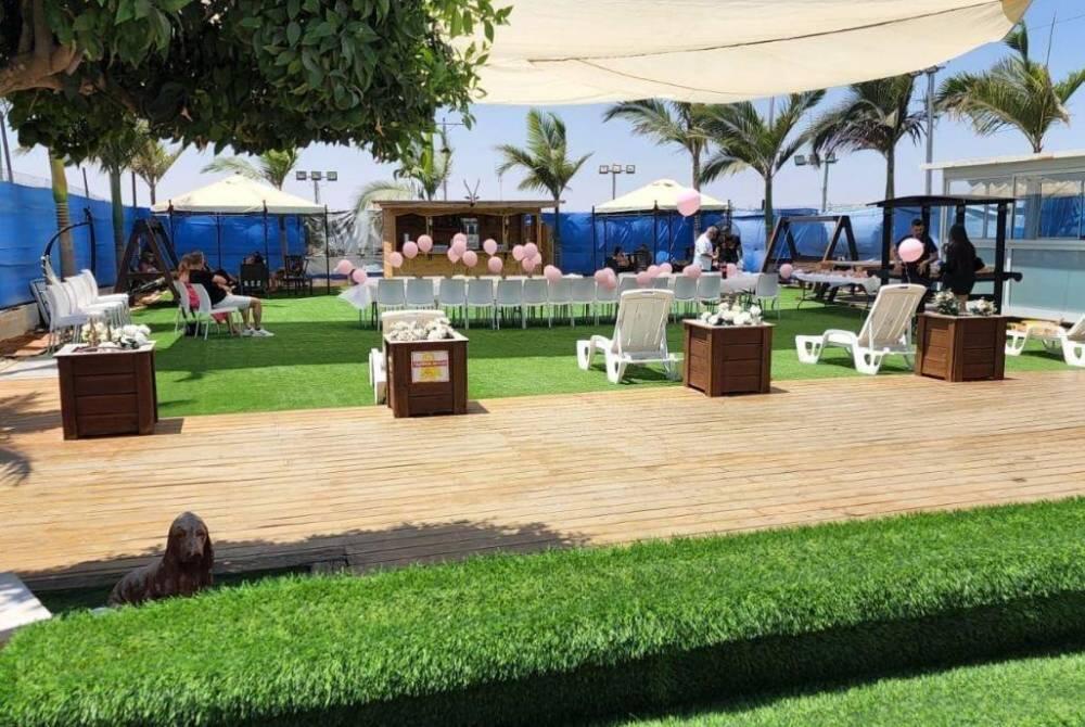 הצבי הירוק דרום  29  לופט 4 יו