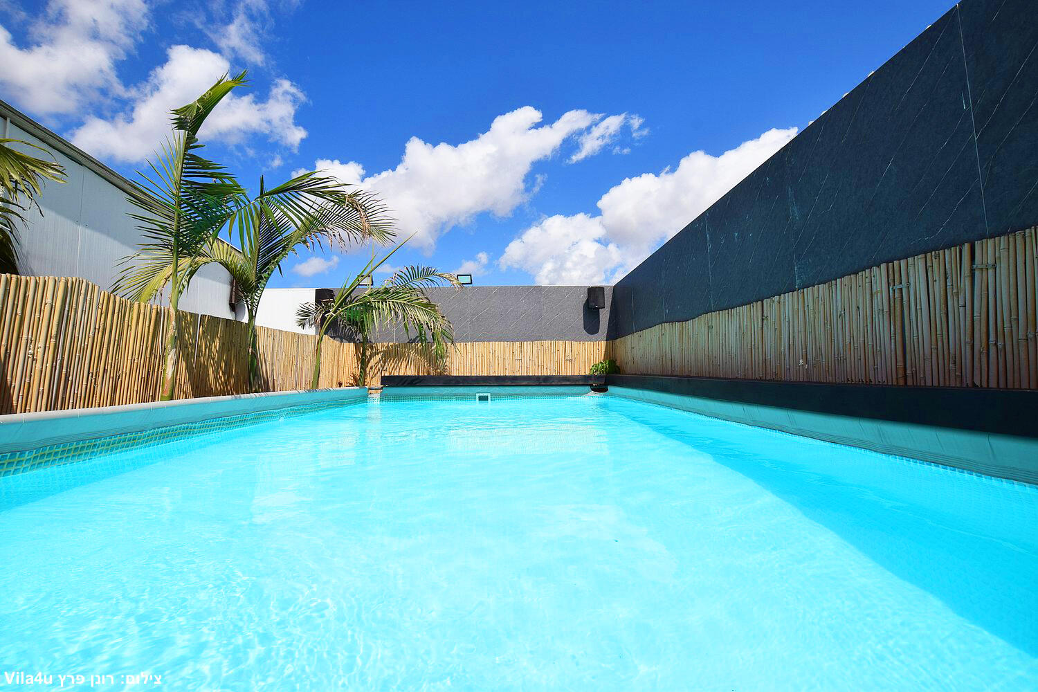 אחוזת השדה מרכז  3  לופט 4 יו