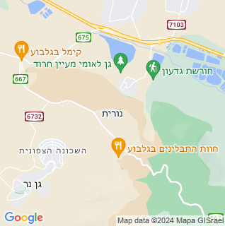מפה